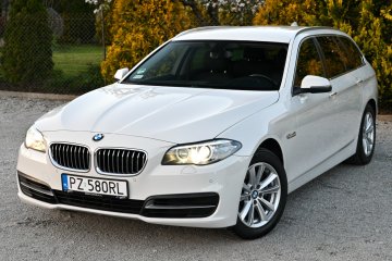 BMW 520d Navi Xenon Serwis 100% Bezwypadkowa Alpejska Biel