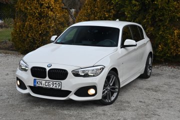BMW 120i 184KM MPakiet Lifting Duża Navi HiFi Alpejska Biel Śliczna